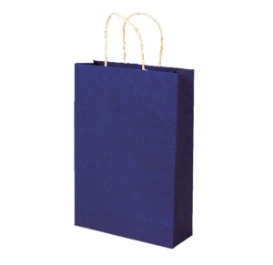 SACOLA KRAFT 14X08X16 C/10 UNID AZUL BIC