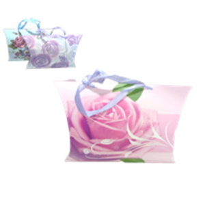 SACOLA DE PRESENTE 25X25X8CM - 010980