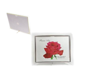 PORTA RETRATO VD HORIZ 10X15 - PR5124