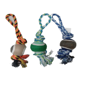 PET MORDEDOR C/BOLA E CORDA 33CM - AX13255TTD