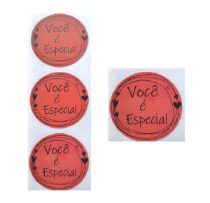 ETIQUETA ADESIVA VOCE É ESPECIAL C/ 60 UNID - L77
