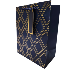 SACOLA DE PRESENTE SORTIDA 23X18X10CM - FJ90028