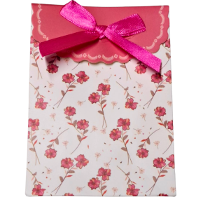 SACOLA DE PRESENTE SORTIDA 16X12X6CM - LP6886