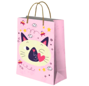 SACOLA DE PRESENTE 38X24X6,7CM SORTIDA - REF 53