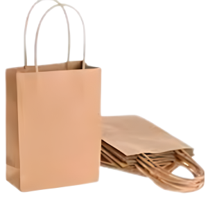 SACOLA KRAFT 31X12X39 C/10 UNID